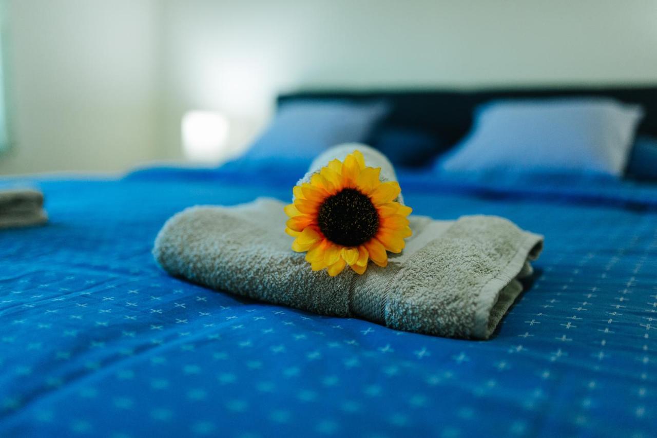 Sunflower Sombor Extérieur photo